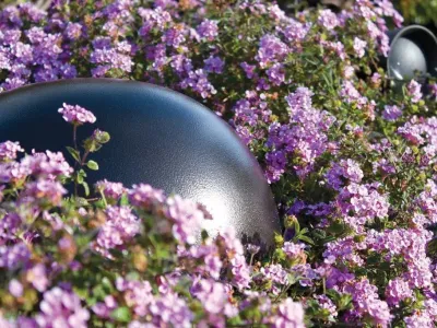 Outdoor-12323-1024x683